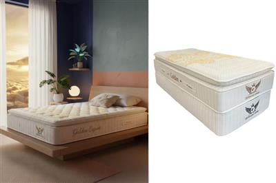 تشک مدل گلدن برند بیست