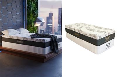 تشک مدل فول مموری برند بیست